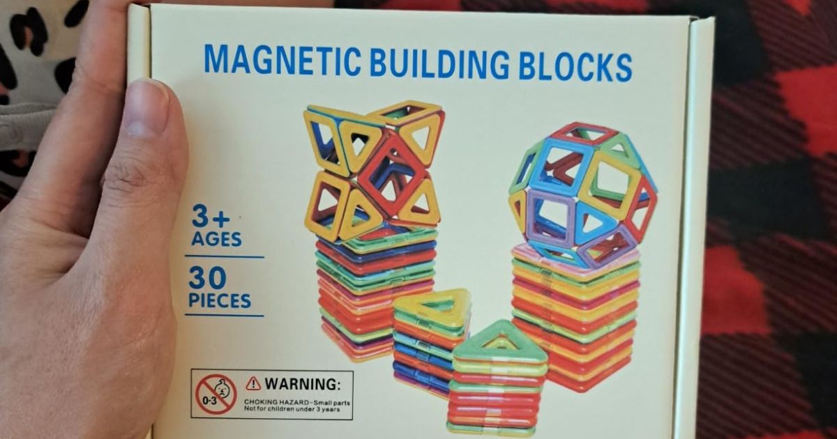 Hand holding a small box of magnetic building tiles