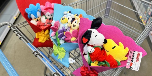 Plush Valentine’s Bouquets Only $17.98 at Walmart | Bluey, Snoopy, & More