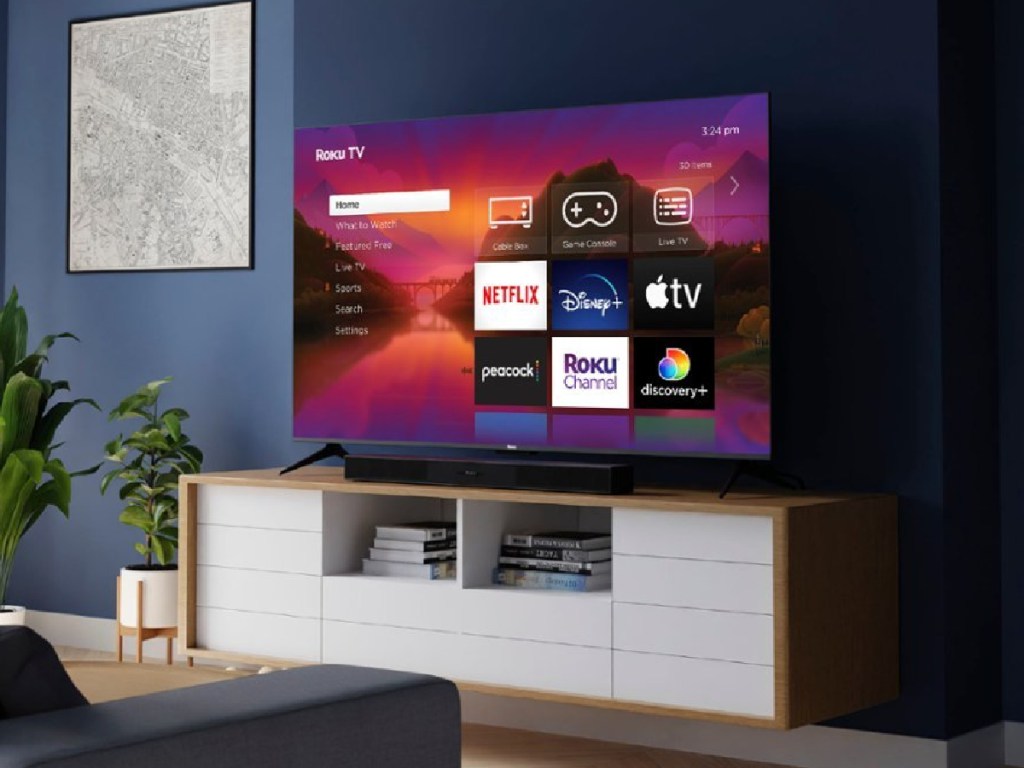 Roku Tv displayed in someones living room