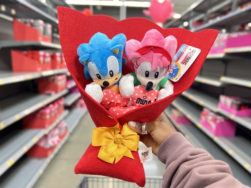 hand holding up a Sonic the Hedgehog and Amy Rose Plush Valentine's Bouquet