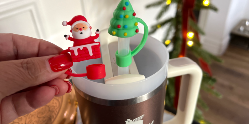 Stanley Tumbler Christmas Straw Cover 6-Piece Set Only $4.79