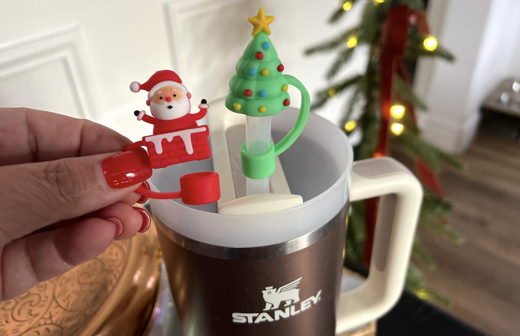 Elevate Your Stanley Tumbler with These $5.99 Accessories (Perfect