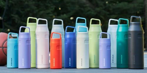 GO! Stanley Water Bottles Only $23.99 Shipped (Reg. $30) – May Sell Out