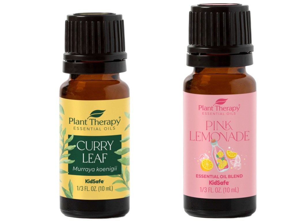 Stock image of curry leaf essential oil and pink lemonade