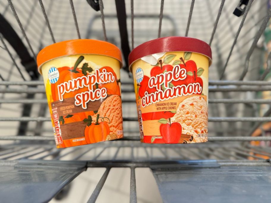 Sundae Shoppe Pumpkin Spice or Apple Cinnamon Ice Cream