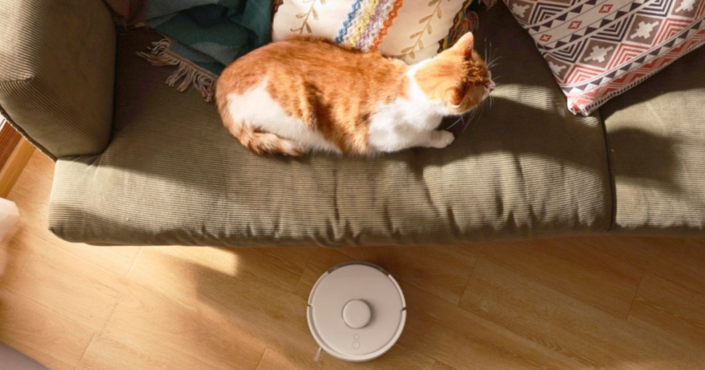 SwitchBot Mini Robot Vac in front of a couch with a cat laying on it