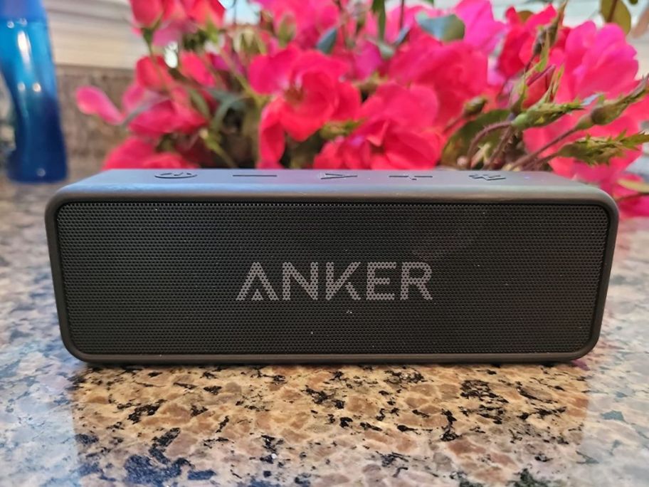 Anker Soundcore 2 Portable Bluetooth Speaker with 12W Stereo Sound on counter in front of pink flowers