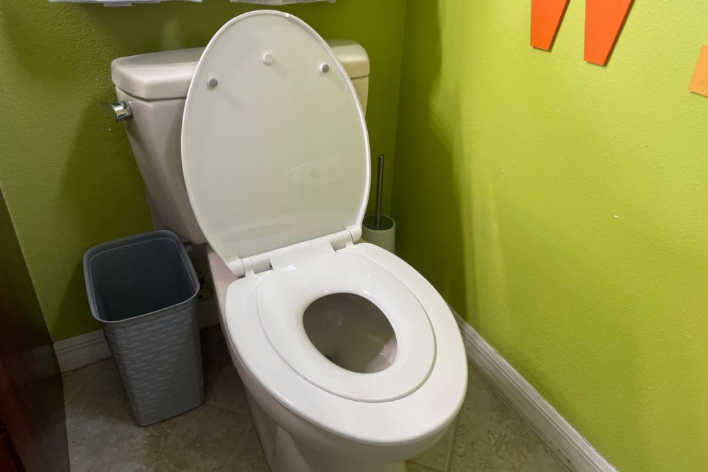 toddler toilet seat in an adult toilet seat 