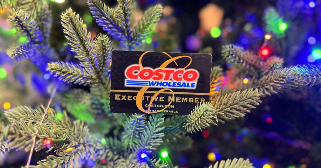 costco card in a christmas tree
