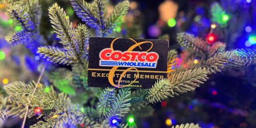 Costco 1-Year Membership + $40 Shop Card ONLY $60 (That’s Like Paying $20 for a Membership!)