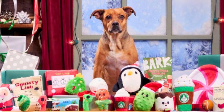 Buy One, Get One 40% Off Pet Items at Target – Fill Their Stocking w/ Goodies!