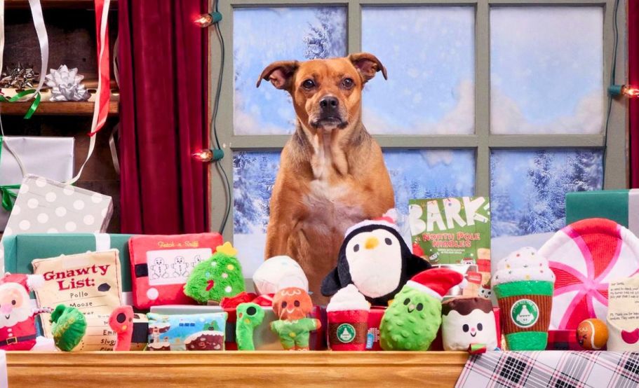 Buy One, Get One 40% Off Pet Items at Target – Fill Their Stocking w/ Goodies!