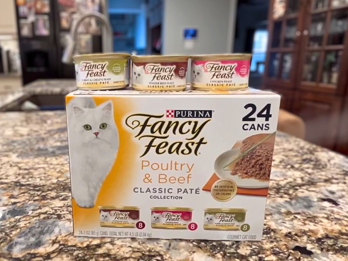 Fancy feast cat outlet food 24 pack