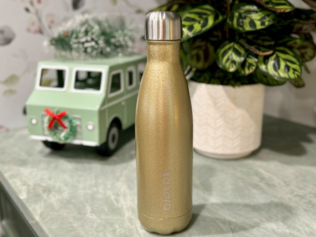 gold water bottle displayed with a plant a Christmas car behind it