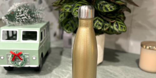 Stainless Steel Water Bottle Only $4.99 on Amazon | Perfect Stocking Stuffer – Insulated and Leak-Proof!
