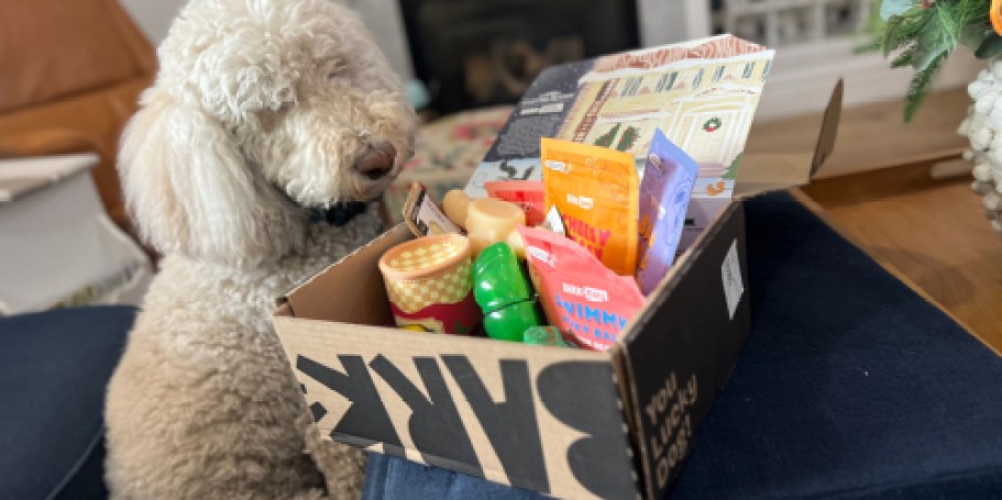 60% Off Super Chewer Bark Box | First Box Just $17.60 Shipped (Includes 2 Toys AND 2 Full-Size Treat Bags!)