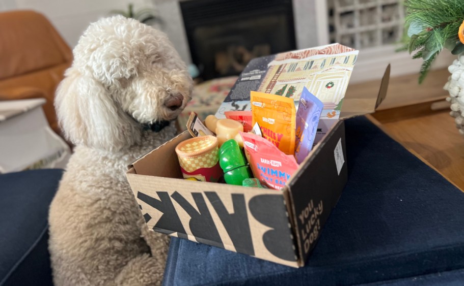 Get 60% Off Super Chewer Bark Box | First Box $17.60 Shipped (Includes Toys AND 2 Full-Size Treat Bags!)