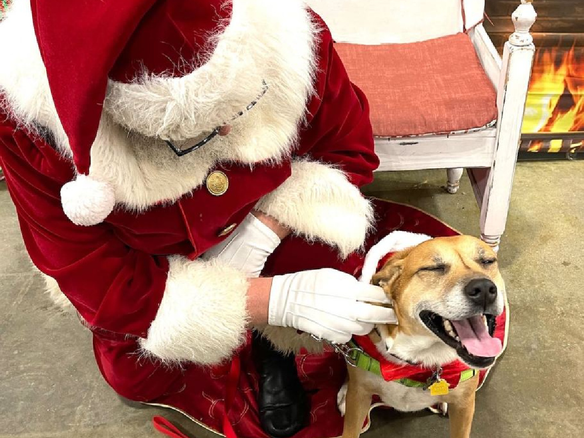 Santa with dog 