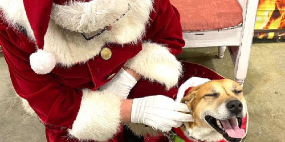 FREE Pet Photos w/ Santa at Petco on 12/6
