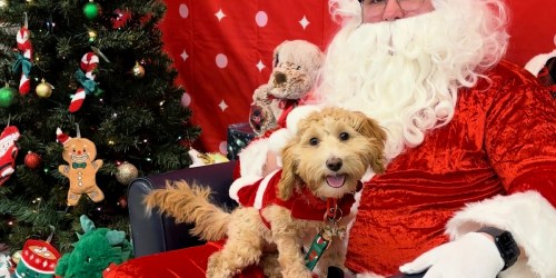 PetSmart FREE Photo with Santa on December 16th & 17th (Make Your Reservation NOW)