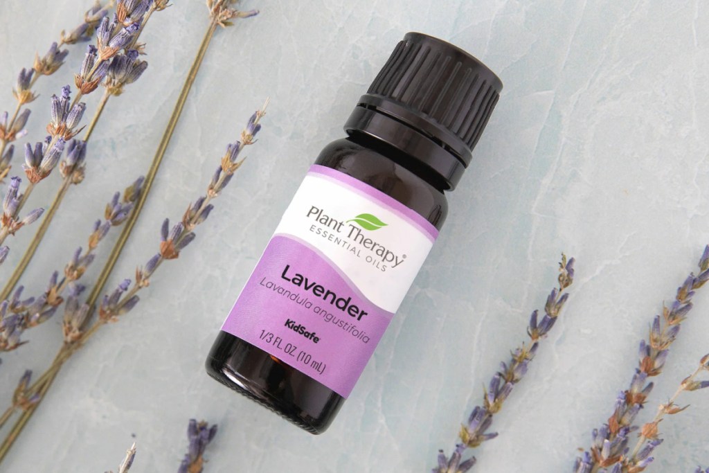 lavender essential oil with lavender plants