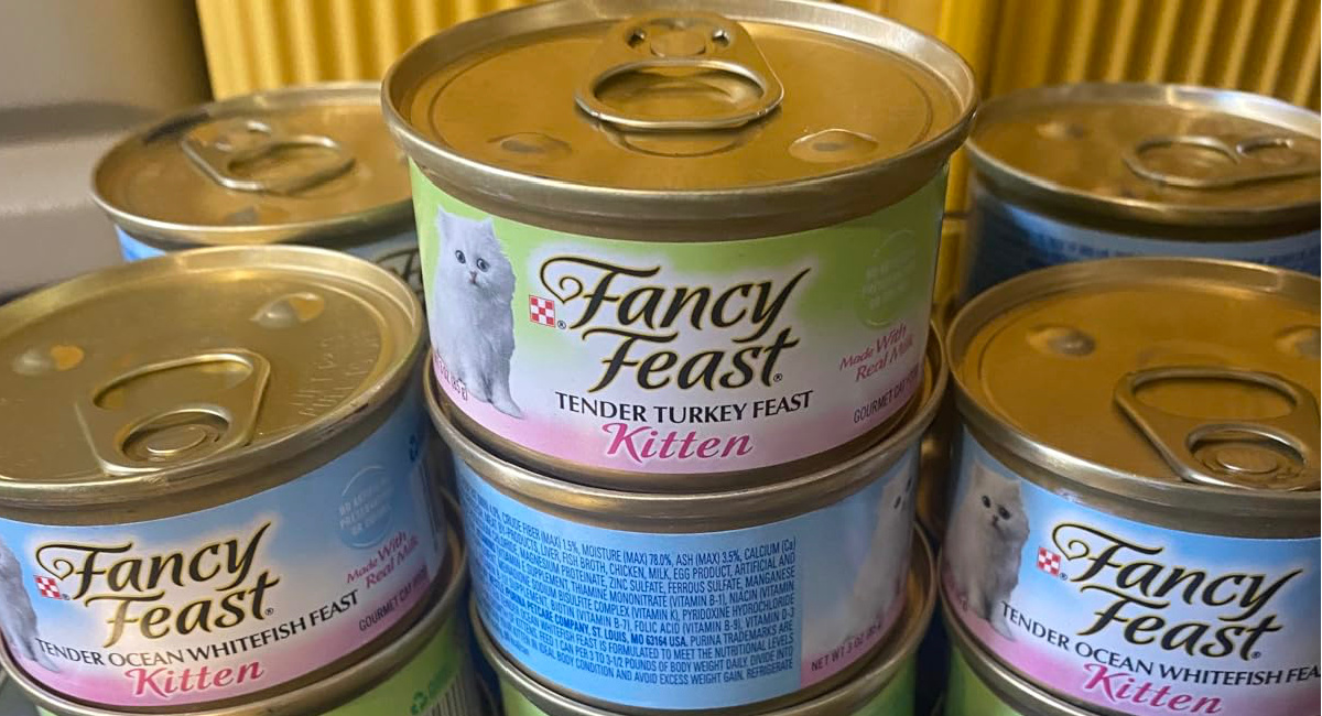 Purina Fancy Feast Cans 24Pack Just 9.58 Shipped on Amazon (Reg. 21