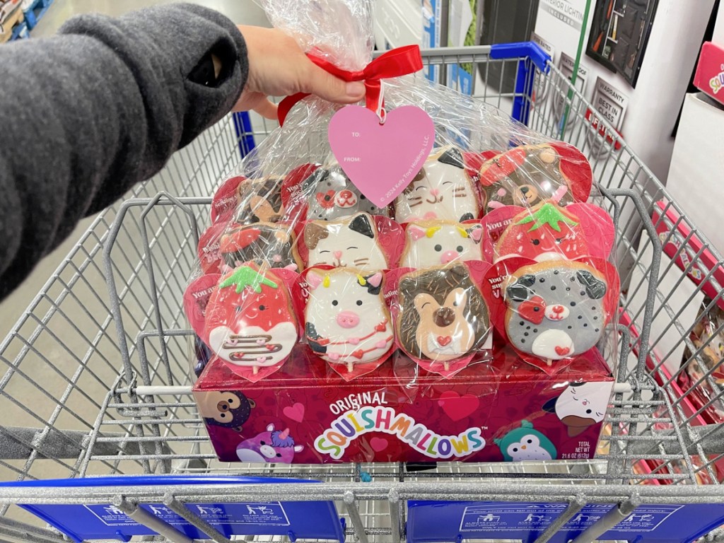 woman holding squishmallow valentine cookies