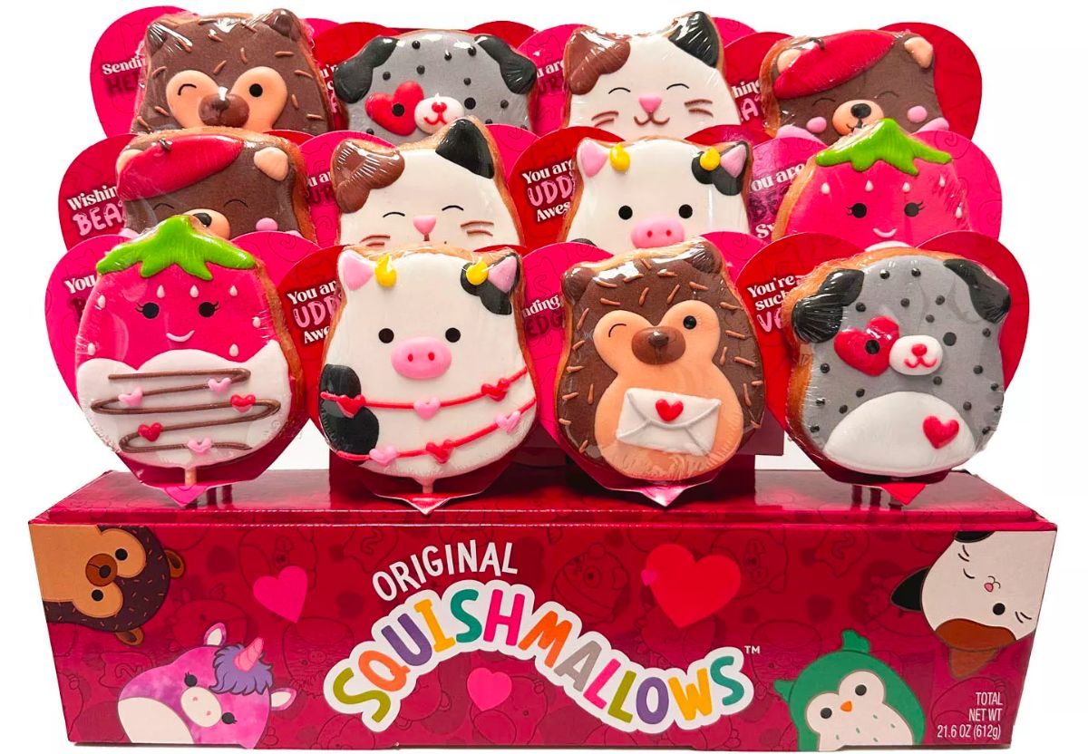 squishmallows cookie bouquet stock image
