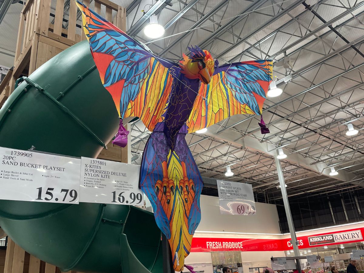 an oversized kite shaped like a giant bird on display in a costco club