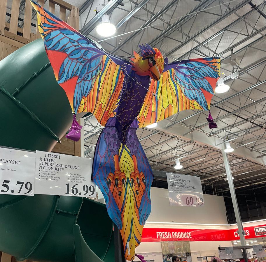 an oversized kite shaped like a giant bird on display in a costco club