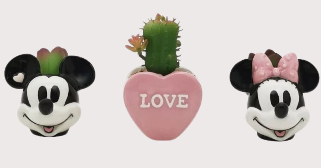 trio of Disney valentine's themed ceramic vases with succulents