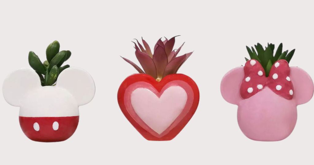 trio of Disney valentine's themed ceramic vases with succulents