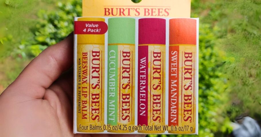 hand holding a box with 4 Burt's Bees lip balms in original and fruity flavors