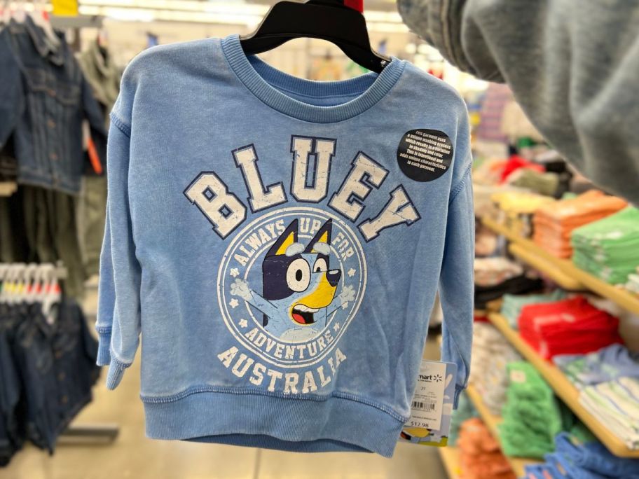 hand holding a toddler's light blue Bluey Blues Clues vintage wash sweatshirt