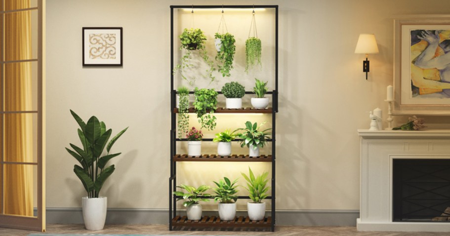 3-Tier Hanging Plant Stand w/ Grow Lights Only $69.99 Shipped on Amazon (Regularly $110)