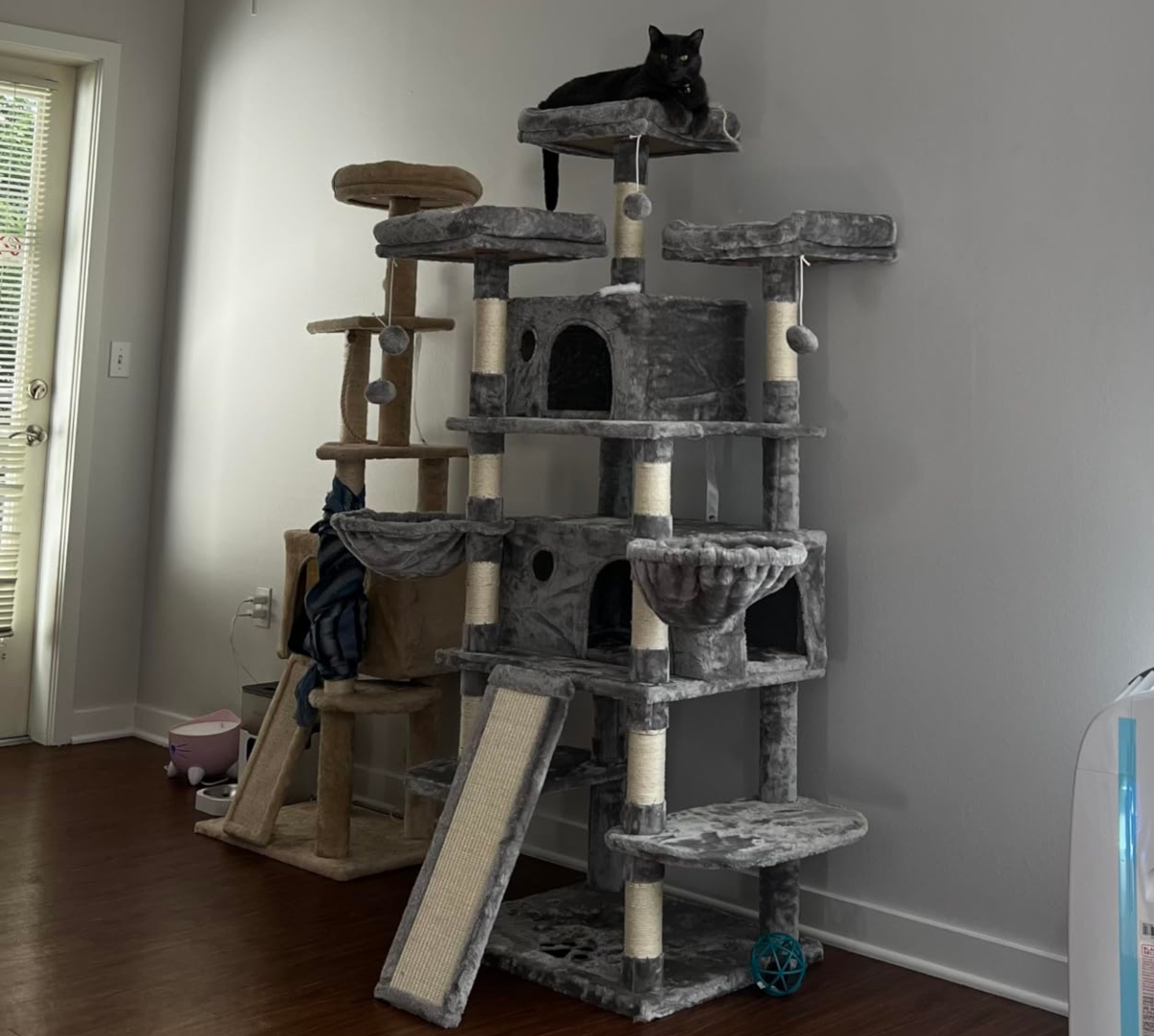 7 Best-Selling Cat Tree & Condo Options on Amazon Right Now