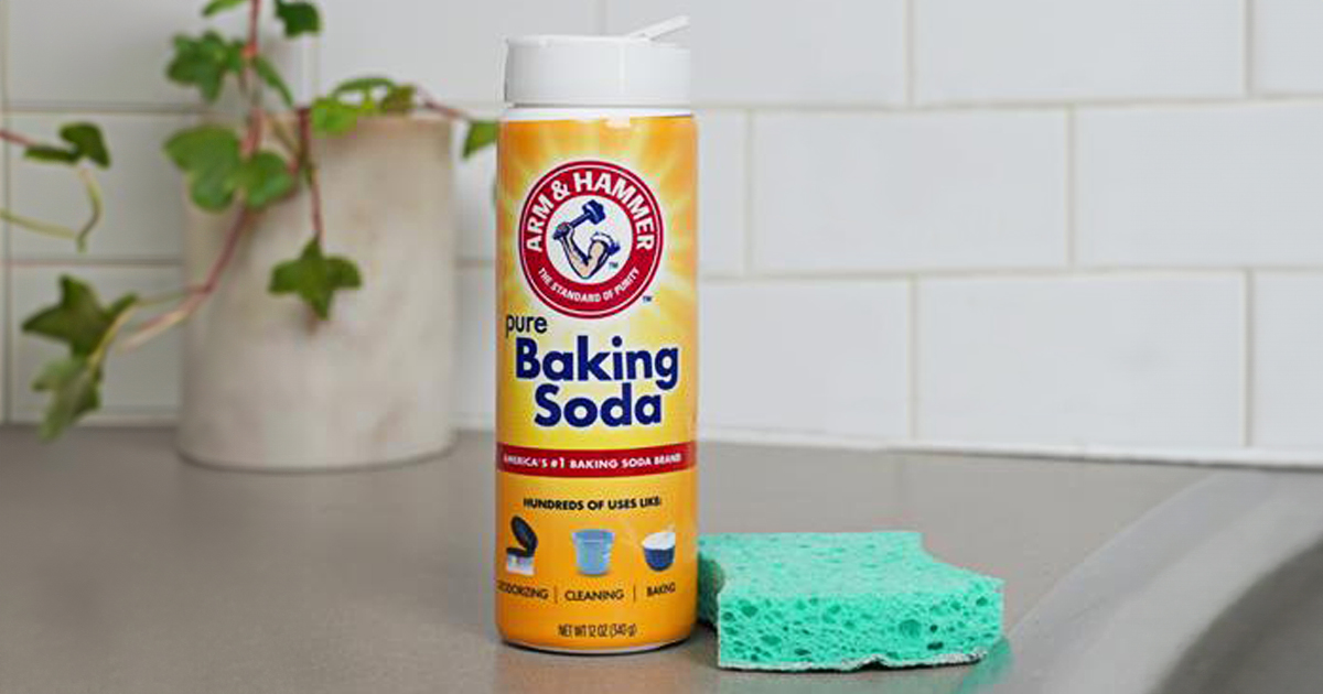 Arm Hammer Baking Soda 12oz Shaker 6 Pack Just 8 35 Shipped On   Arm Hammer Baking Soda 