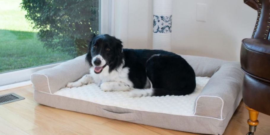 50% Off Petco Dog Beds – Fun & Cozy Styles from $19.99