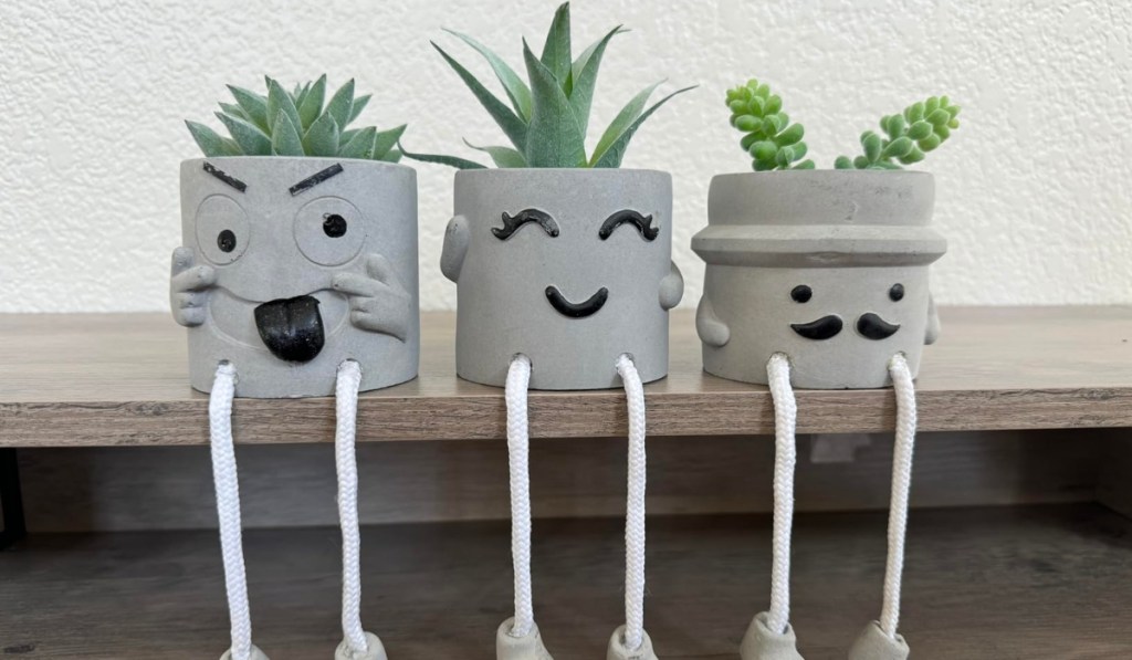 three artificial succulent plants in fun-faced pots with dangling legs