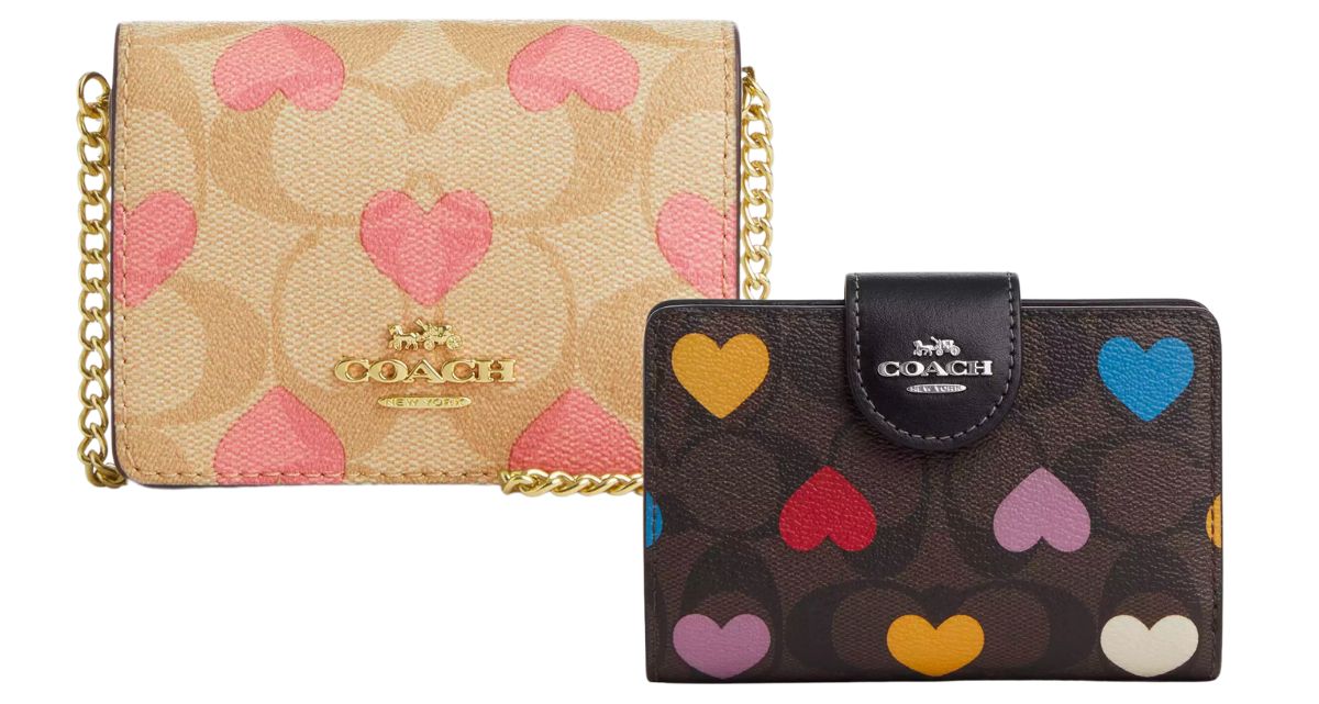 Mini Wallet On a Chain in and small zip wallet in heart print cavas