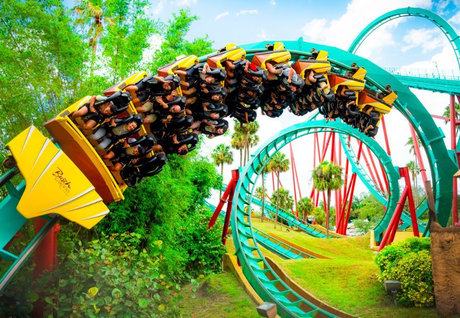 roller coaster at Busch Gardens Tampa