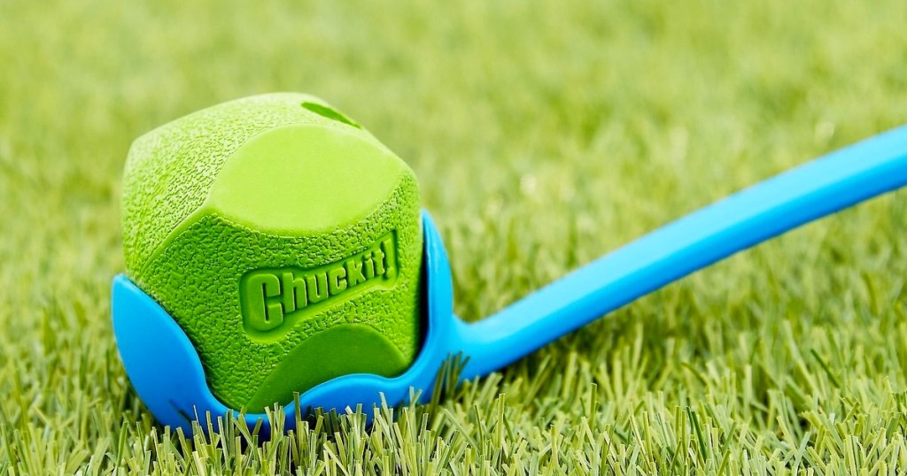 green ChuckIt ball in a blue launcher on grass