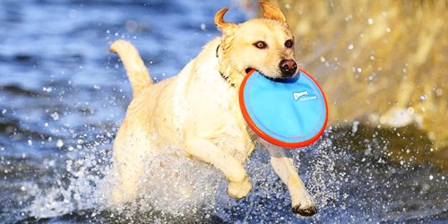 75% Off ChuckIt Dog Toys on Amazon | Flying Disc ONLY $4 Shipped (Reg. $17)
