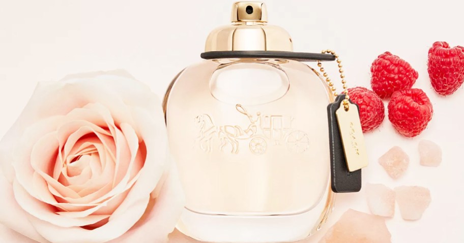 bottle of coach perfume near roses and raspberries