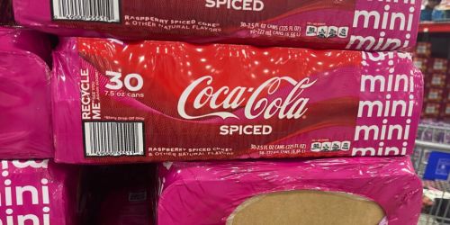 10 New at Sam’s Club Finds | High-End Mirror, New Spiced Raspberry Coke Flavor, & More!