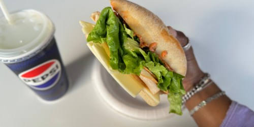 Costco Food Court Faves Under $4 (+ Have You Tried the New Turkey Swiss Sandwich?)