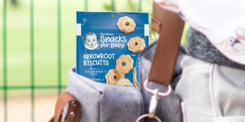 Gerber Baby Arrowroot Biscuits Pouch 4-Count Just $6.83 Shipped on Amazon