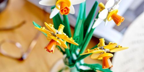 Rare 30% Off Target LEGO Sale | Popular Daffodils Set Only $10.49