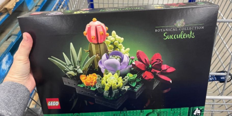 Up to 50% Off LEGO Sets on Amazon (Lowest Prices Ever on Botanicals Sets!)