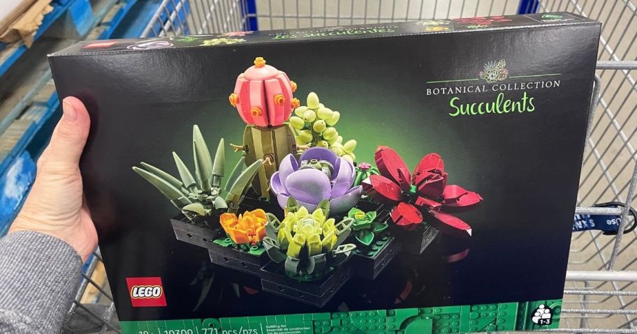 a womans hand holding a LEGO succulents building set box in a store